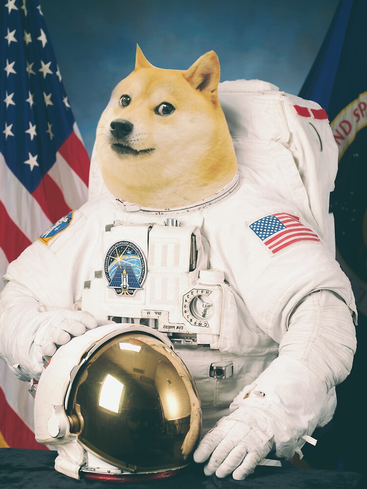 Dogenaut by viggosaurus