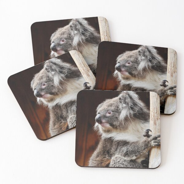 Item preview, Koala treehugger designed and sold by serenity-photos.
