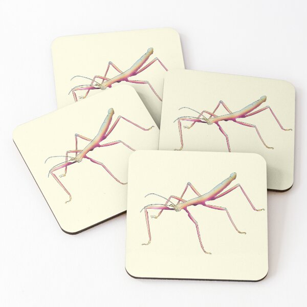 Item preview, Pansexual Stick Bug designed and sold by Qur0w.