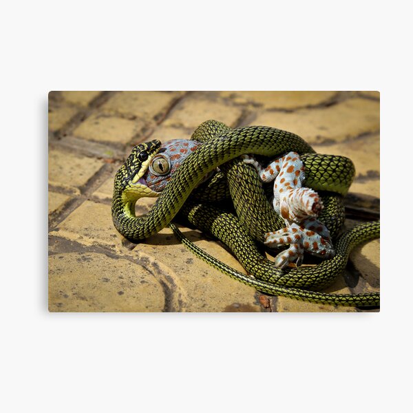 Item preview, Biting off more than he can chew designed and sold by Tam Church.