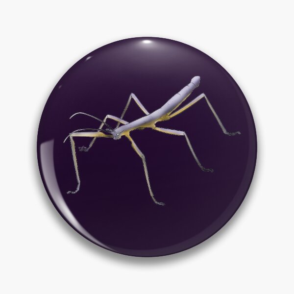 Item preview, Nonbinary Stick Bug designed and sold by Qur0w.