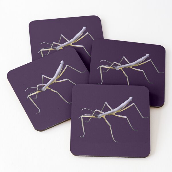 Item preview, Nonbinary Stick Bug designed and sold by Qur0w.