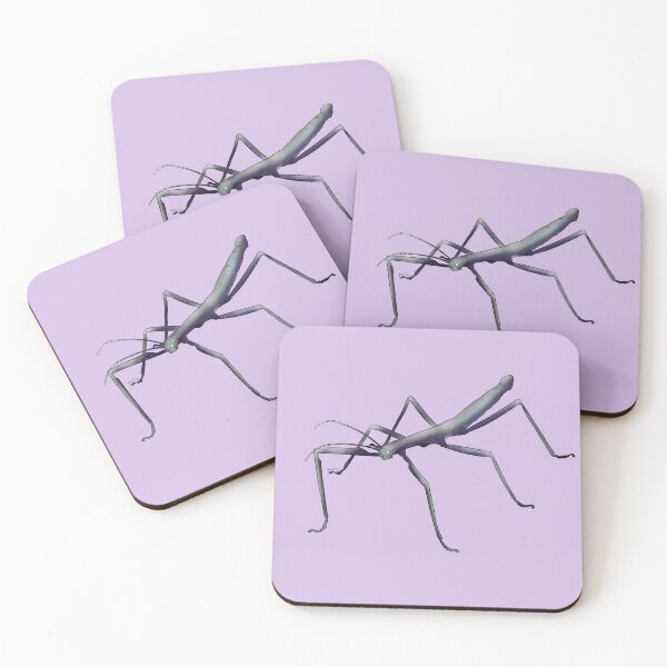 Item preview, Asexual Stick Bug designed and sold by Qur0w.