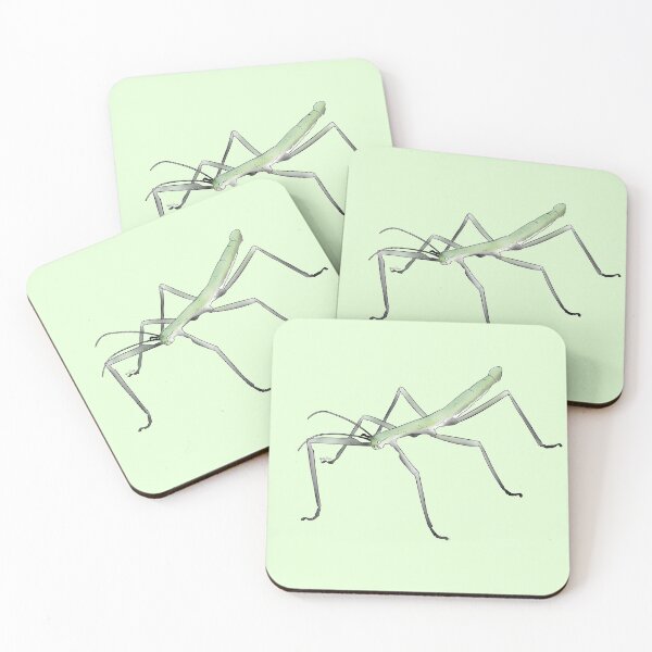 Item preview, Aromantic Stick Bug designed and sold by Qur0w.
