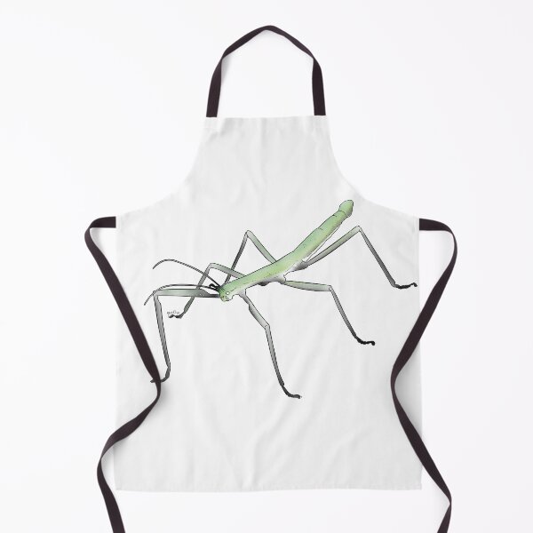 Item preview, Aromantic Stick Bug designed and sold by Qur0w.