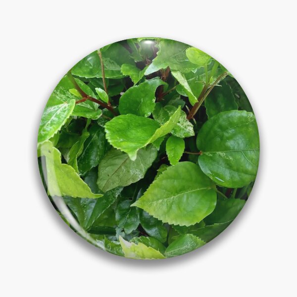 Item preview, Simply photography designed of green leafs designed and sold by jK fashion world.