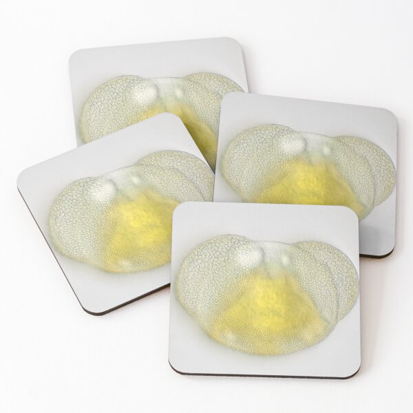 Coasters