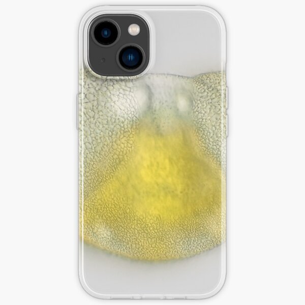 iPhone 14 - Soft
