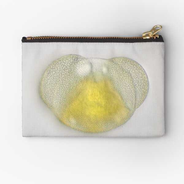 Zipper Pouch