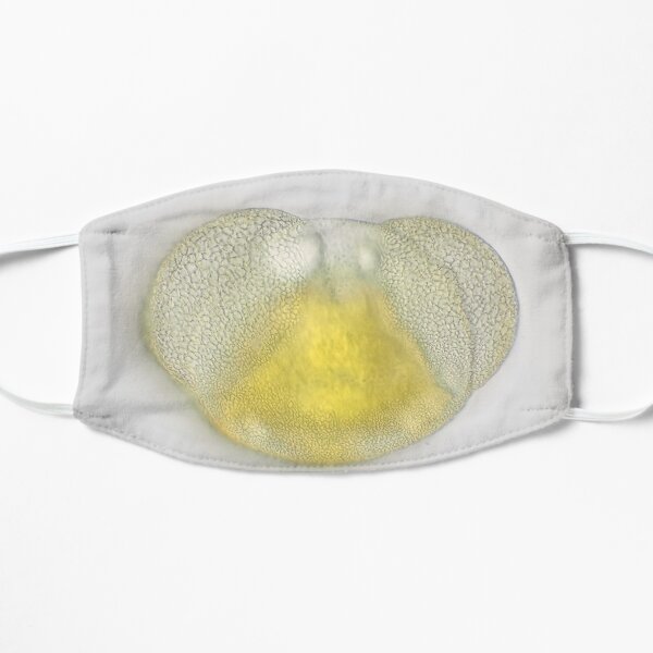 Mask