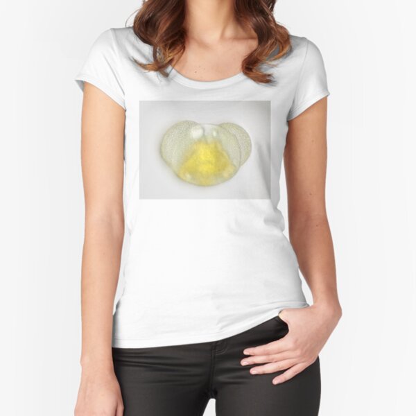 Fitted Scoop T-Shirt