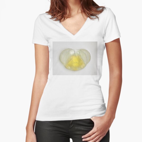 Fitted V-Neck T-Shirt