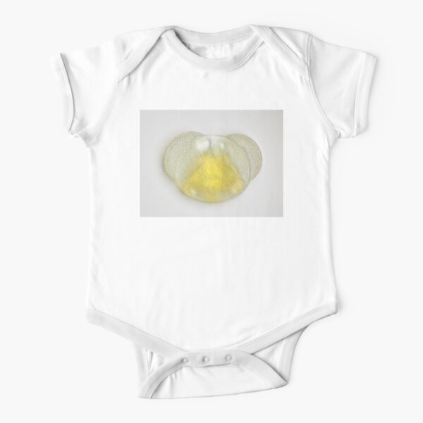 Kids Clothes