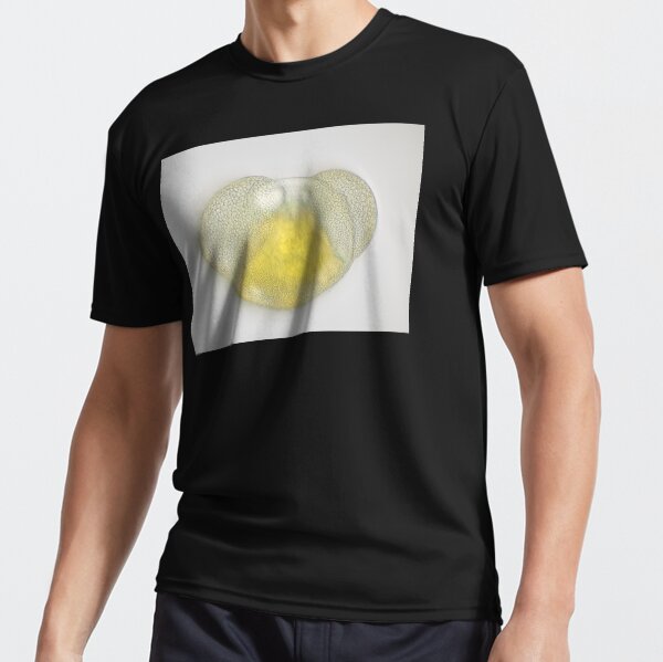 Active T-Shirt