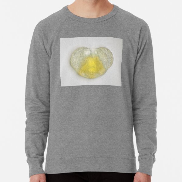 Lightweight Sweatshirt