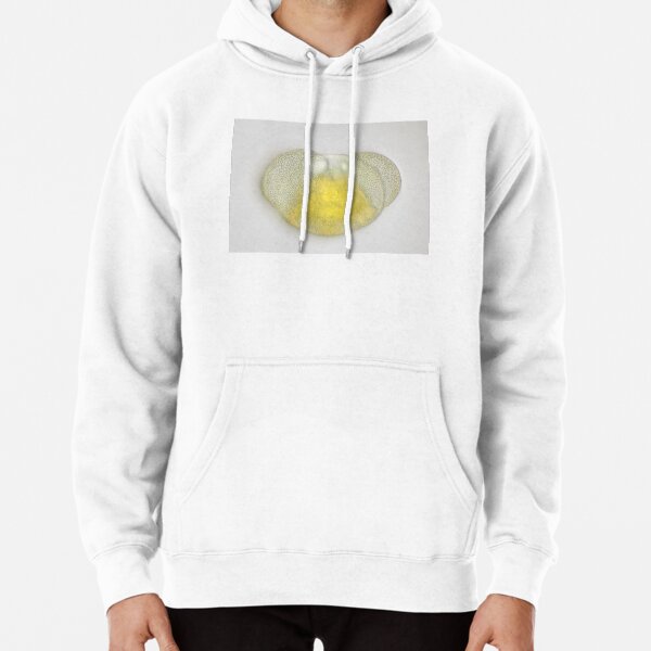 Hoodie (Pullover)