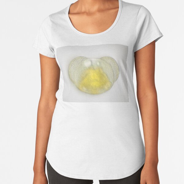 Premium Scoop T-Shirt