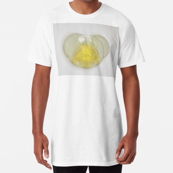 Long T-Shirt