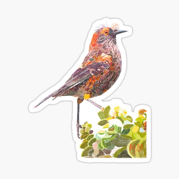 Item preview, Akohekohe, Hawaiian Bird designed and sold by NJartbyNJacobson.