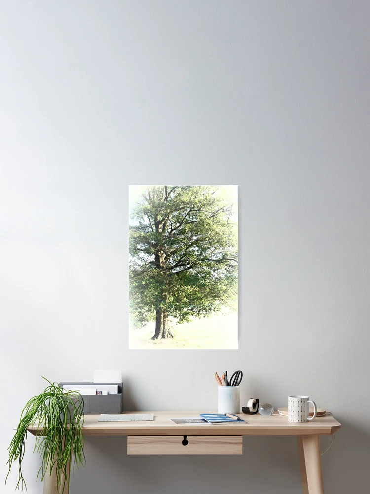 Thumbnail 2 of 3, Poster, Tree And Light designed and sold by RVogler.