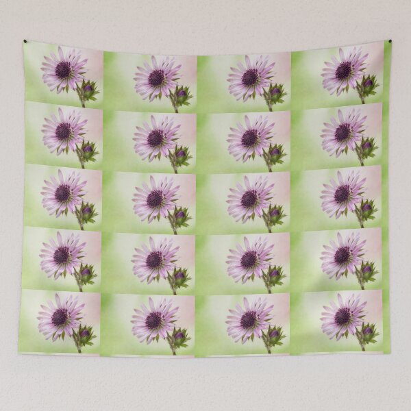 Item preview, Berkheya Purpurea. designed and sold by John Ray.