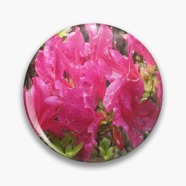 Item preview, Flowers bathed in morning dew  designed and sold by KatNKel.