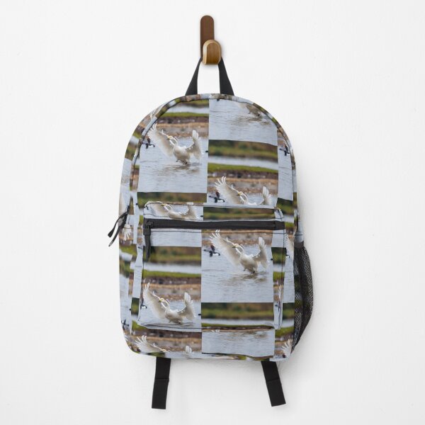 Item preview, Wild Bewicks swan about to land designed and sold by Dalyndigital Photography.