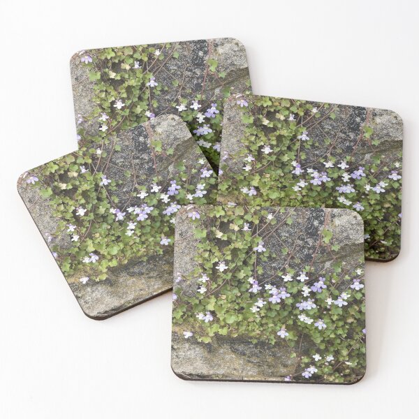 Item preview, Wallflower designed and sold by MarinaBDesigns.