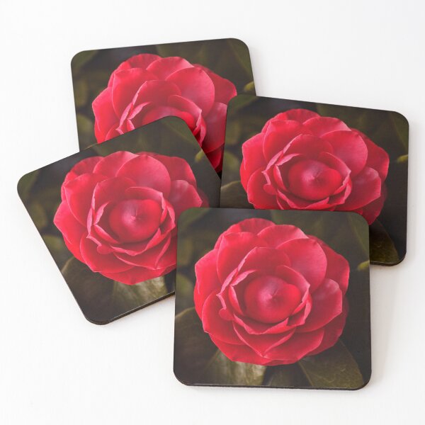Item preview, Camellia Flower designed and sold by AntonyMitchell.