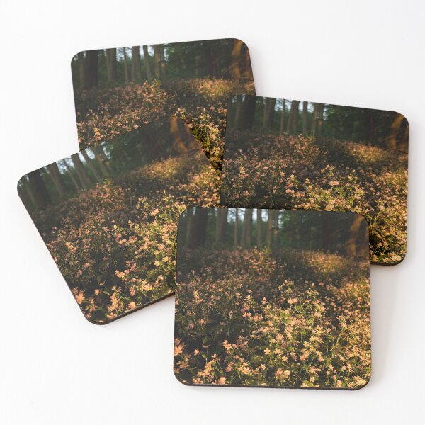 Item preview, wildflowers in the setting sun designed and sold by codaimages.