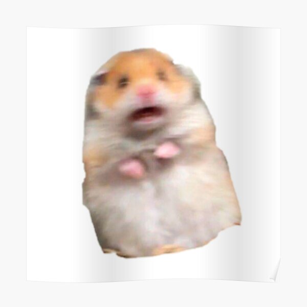 Scared Hamster Meme Poster By Amemestore Redbubble