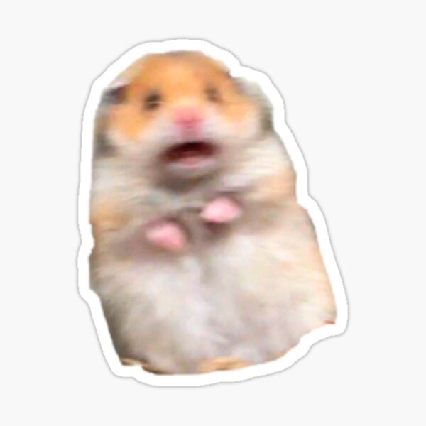 pegatina-hamster-asustado-meme-de-amemestore-redbubble