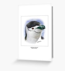 CHINSTRAP PENGUIN 1 Greeting Card
