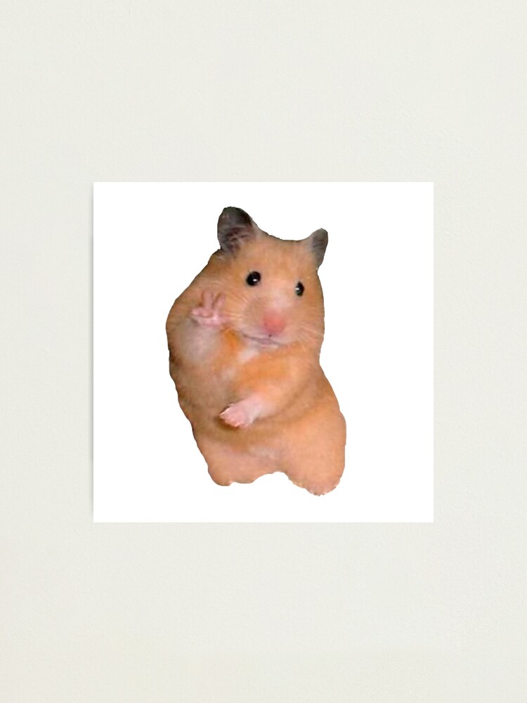 Peace Hamster Meme Photographic Print By Amemestore Redbubble