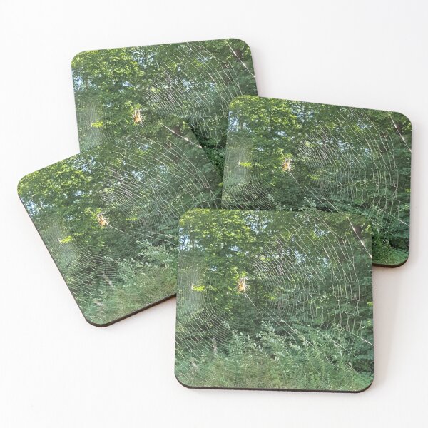 Item preview, Spider in the window! designed and sold by Diana Evensen.