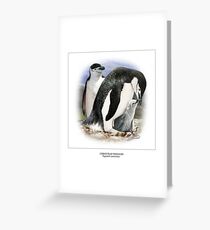 CHINSTRAP PENGUIN 3 Greeting Card