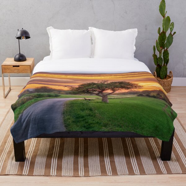 Item preview, Apple tree beside a path at sunset designed and sold by Katho Menden.