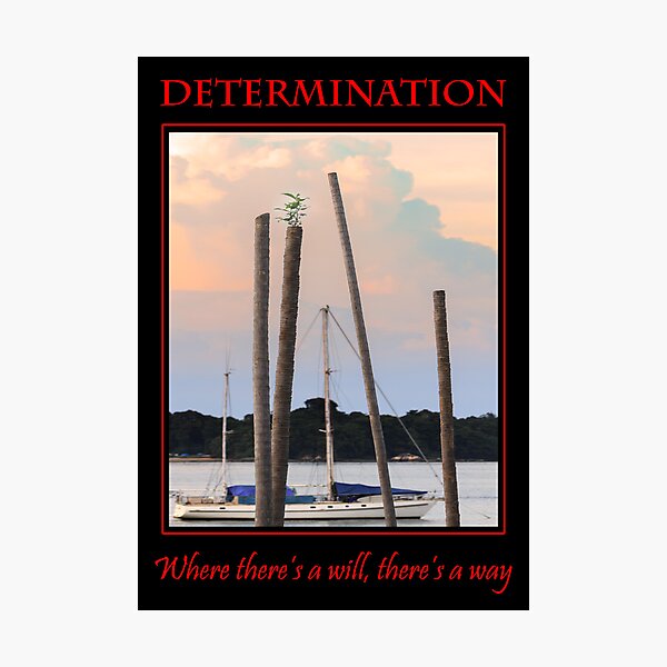 Item preview, Determination designed and sold by Webitect.