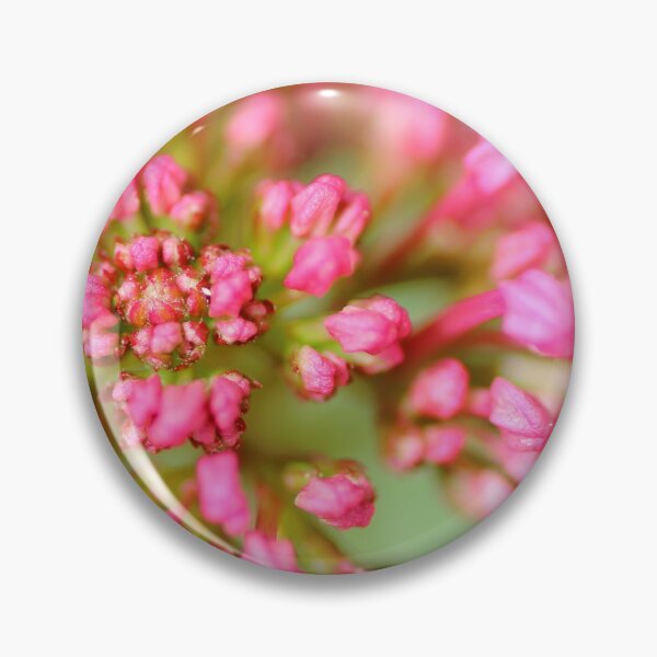 Item preview, Valerian flower designed and sold by Grégory DUBUS.