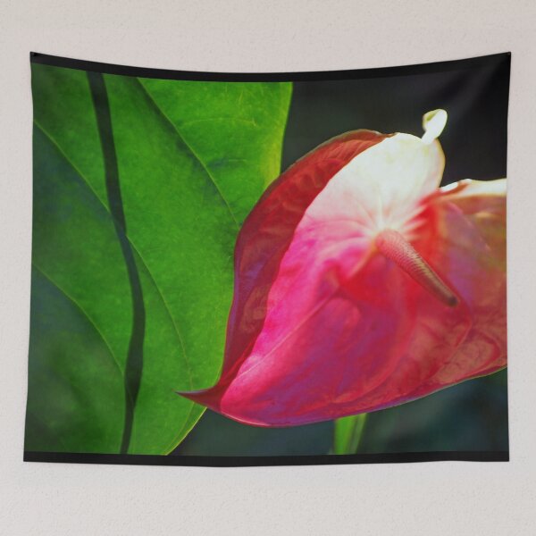 Item preview, Sunlit Glow designed and sold by Kerryn Madsen-Pietsch.