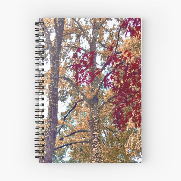 Item preview, Autumn designed and sold by Alessandra Diacos.