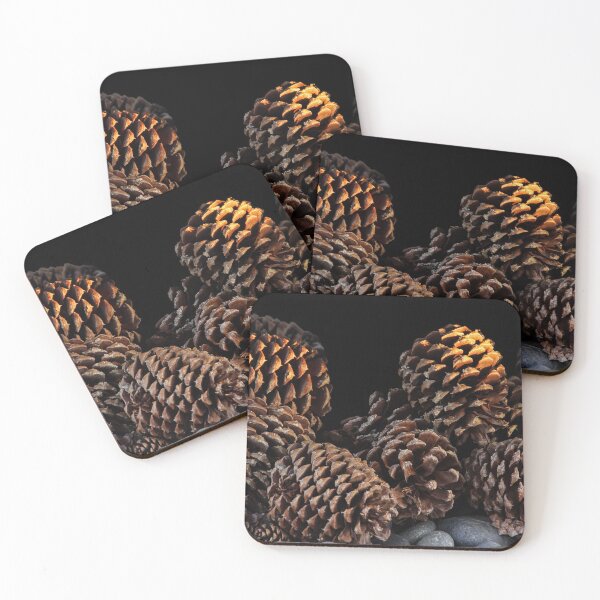 Item preview, Pine Cones in the Sunlight  designed and sold by heatherfriedman.