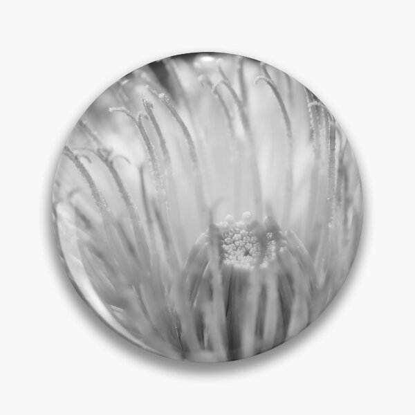 Item preview, Flower beauty in nature designed and sold by Grégory DUBUS.