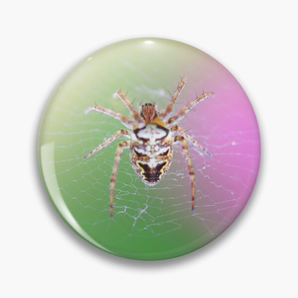 Item preview, Spider on web designed and sold by Grégory DUBUS.
