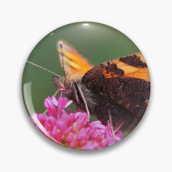 Item preview, Butterfly on valerian flower designed and sold by Grégory DUBUS.