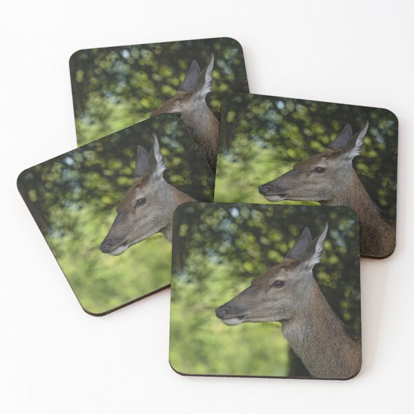 Item preview, Red Deer Encounter designed and sold by rawshutterbug.