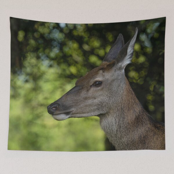 Item preview, Red Deer Encounter designed and sold by rawshutterbug.