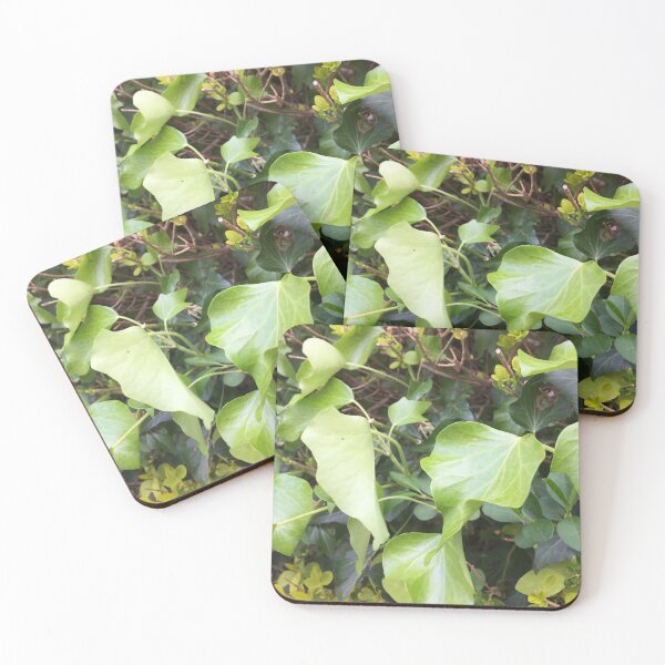Item preview, Ivy League designed and sold by Pixshus.