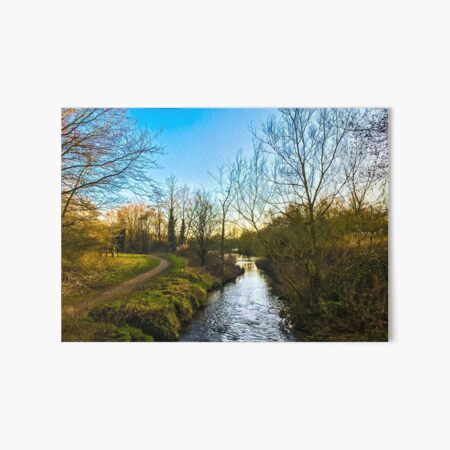 Gently down the stream Art Board Print