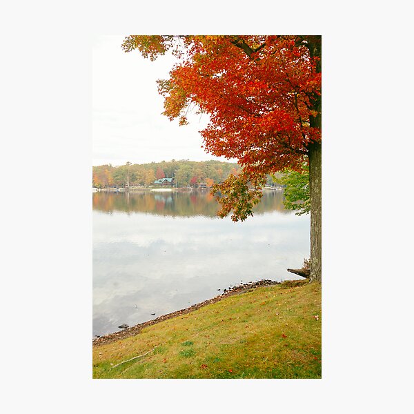 Item preview, Autumn Foliage on a Misty Morning  designed and sold by Vivienne Gucwa.